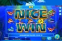Lucky Fishing