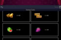 Fortune Coins