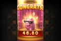 3 Lucky Piggy