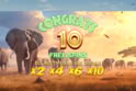 Safari King