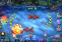 All-Star Fishing