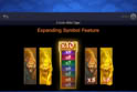 3 Coin Wild Tiger