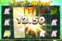 Jungle Stripes