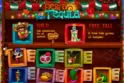 Tequila Fiesta