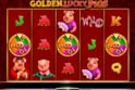 Golden Lucky Pigs