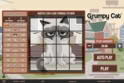Grumpy Cat