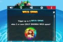 Wild Plunder