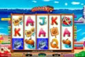 Shaaark! Superbet