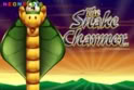 The Snake Charmer