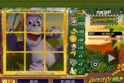 Scratch Gorilla Go Wild
