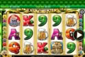 Casinomeister