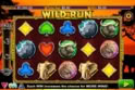 Wild Run