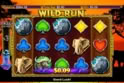 Wild Run