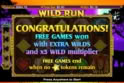 Wild Run