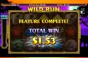 Wild Run