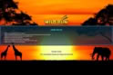 Scratch Wild Run