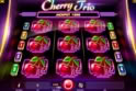 Cherry Trio