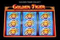Golden Tiger
