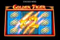 Golden Tiger