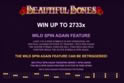Beautiful Bones