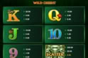 Wild Orient