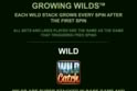 Wild Catch