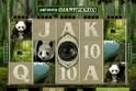 Untamed Giant Panda