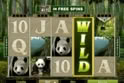 Untamed Giant Panda