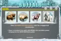 White Buffalo