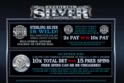 Sterling Silver 3D