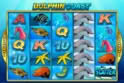 Dolphin Coast