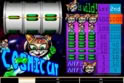Cosmic Cat