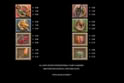 Lara Croft® Temples and Tombs™