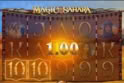Magic of Sahara
