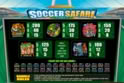 Soccer Safari