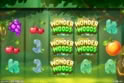 Wonder Woods