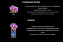 Atlantean Treasures Mega Moolah