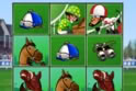 Sure Win Scratch