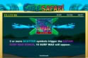 Surf Safari