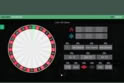 Real Roulette with Matthew
