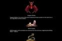 Odin's Riches