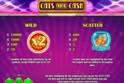 Cats and Cash