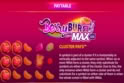Berryburst Max