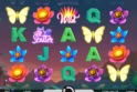 Butterfly Staxx
