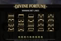Divine Fortune