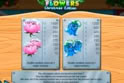 Flowers Christmas