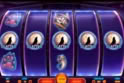 Spinsane
