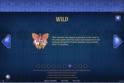 Codex of Fortune