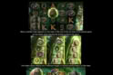 Gorilla Kingdom