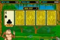 Crazy Monkey